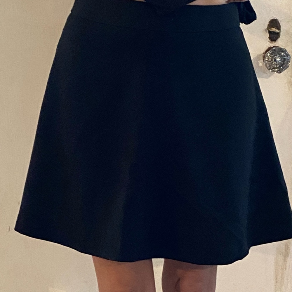 NWT LOFT Skirt